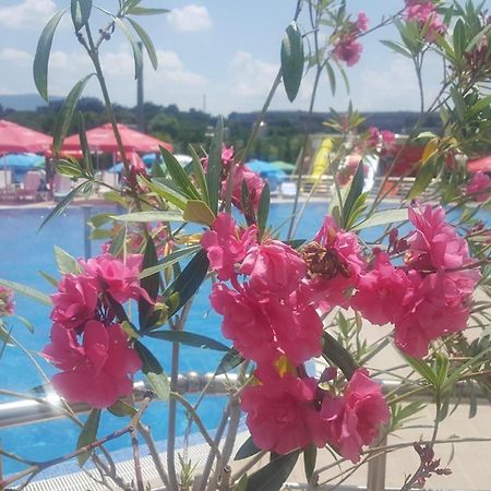 Hotel Aqua Kurdzhali Ngoại thất bức ảnh