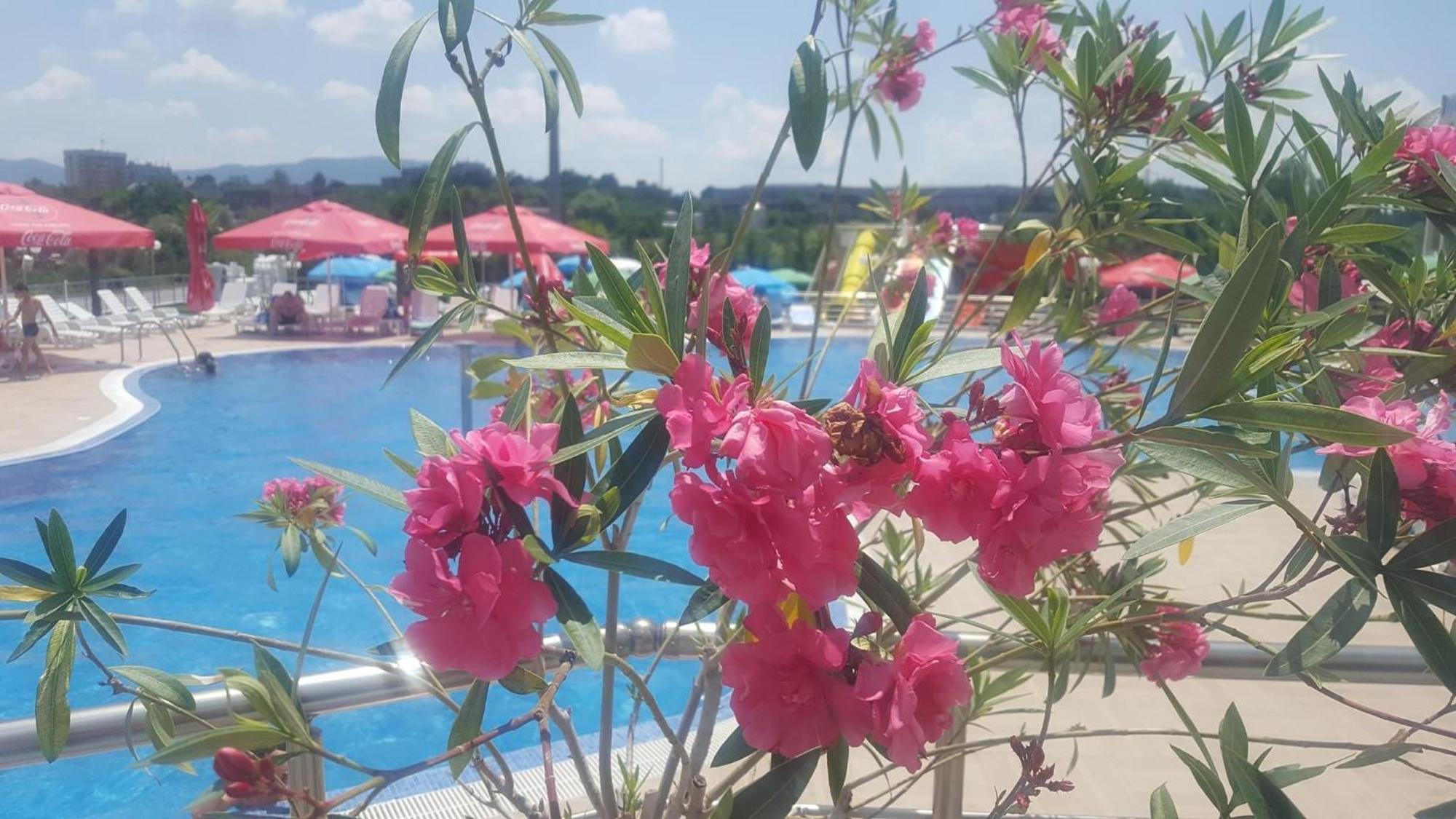 Hotel Aqua Kurdzhali Ngoại thất bức ảnh